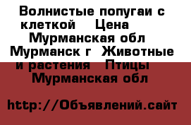 Волнистые попугаи с клеткой. › Цена ­ 10 - Мурманская обл., Мурманск г. Животные и растения » Птицы   . Мурманская обл.